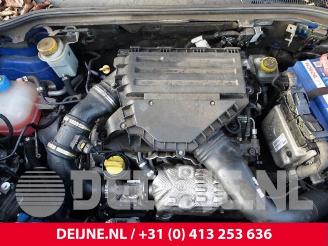 Fiat Doblo Doblo Cargo (263), Van, 2010 1.3 D Multijet picture 35