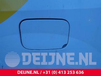 Renault Kangoo Kangoo Express (FW), Van, 2008 1.5 dCi 75 FAP picture 29