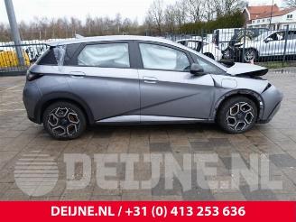 BYD Dolphin Dolphin, Hatchback 5-drs, 2021 60,4 kWh picture 8