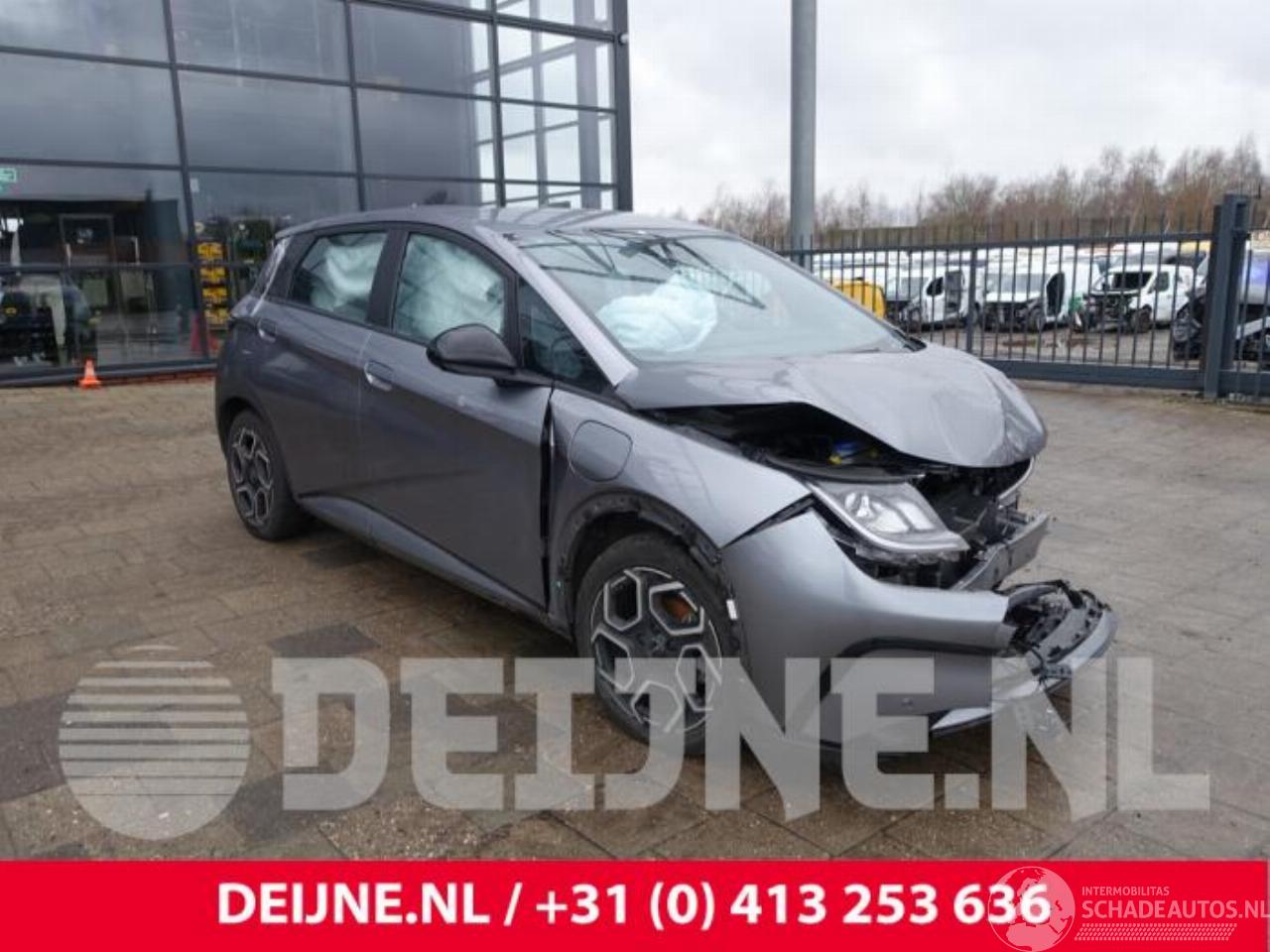 BYD Dolphin Dolphin, Hatchback 5-drs, 2021 60,4 kWh