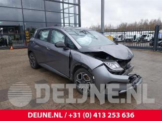 Uttjänta bilar auto BYD Dolphin Dolphin, Hatchback 5-drs, 2021 60,4 kWh 2024/3