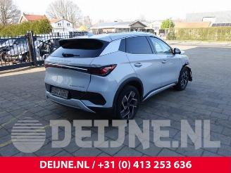 BYD Atto 3 Atto 3/Atto 3 Evo, SUV, 2022 FWD 60 kWh picture 7