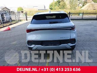 BYD Atto 3 Atto 3/Atto 3 Evo, SUV, 2022 FWD 60 kWh picture 6
