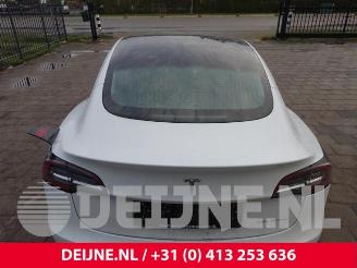 Tesla Model 3 Model 3, Sedan, 2017 Long Range AWD 75 kWh picture 26