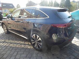 Mercedes EQC 400 4Matic picture 12