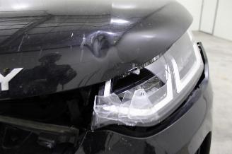 Land Rover Discovery  picture 23