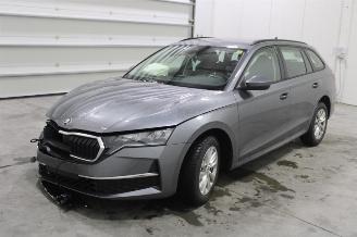 Démontage voiture Skoda Octavia  2024/12