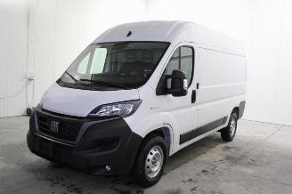 Démontage voiture Fiat Ducato  