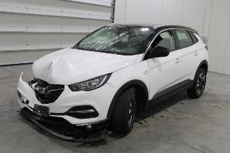 Sloopauto Opel Grandland X 2019/6