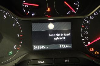 Opel Grandland X picture 12