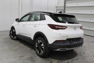 Opel Grandland X picture 5