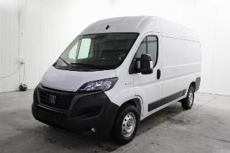 Coche siniestrado Fiat Ducato  2023/1