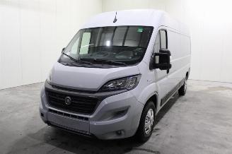 Coche siniestrado Fiat Ducato  2021/9