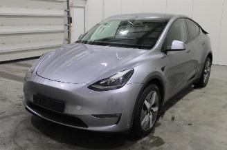 Schadeauto Tesla Model Y  2025/1