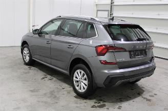 Skoda Kamiq  picture 4