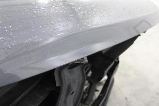 Volkswagen Tiguan  picture 24