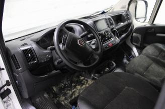 Fiat Ducato  picture 12