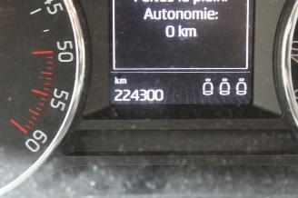 Skoda Octavia  picture 12