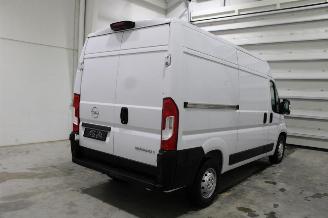 Opel Movano  picture 4