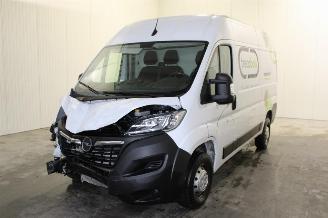 Sloopauto Opel Movano  2023/6