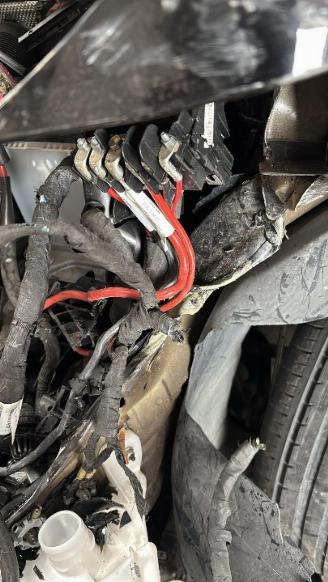 Seat Ateca  picture 23