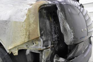 Mini Cooper _COUNTRYMAN picture 22