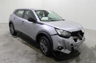 Peugeot 2008  picture 2