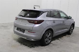 Opel Grandland X picture 3