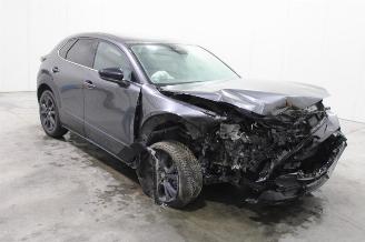 Mazda CX-30  picture 2