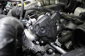 Renault Kangoo  picture 15