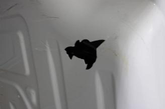 Renault Master  picture 19