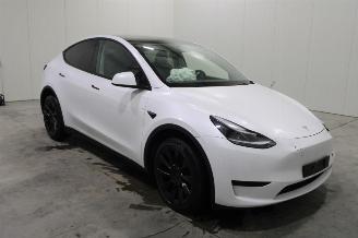 Tesla Model Y  picture 2