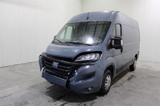 Sloopauto Fiat Ducato  2021/8