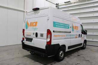Fiat Ducato  picture 3