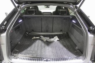 Audi RS Q8 picture 25