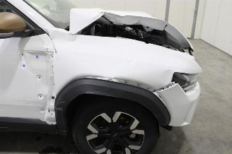 Dacia Duster  picture 6