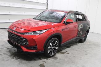 Dezmembrări autoturisme MG HS  2025/9