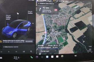 Tesla Model Y  picture 14