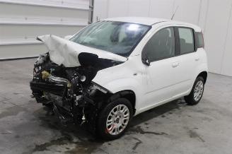 skadebil auto Fiat Panda  2019/9