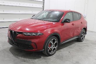 skadebil auto Alfa Romeo Tonale  2024/1