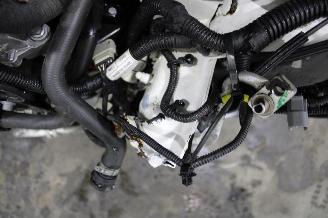 Fiat 500  picture 23