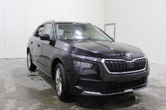Skoda Kamiq  picture 2