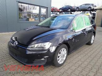  Volkswagen Golf Golf VII Variant (AUVV), Combi, 2013 / 2021 1.4 TGI 16V 2016/5