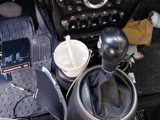 Mini Countryman  picture 21