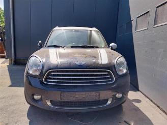 Mini Countryman  picture 2