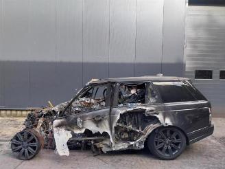 Land Rover Range Rover Range Rover IV (LG), Terreinwagen, 2012 / 2021 3.0 D300 MHEV picture 9