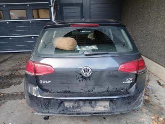 Volkswagen Golf Golf VII (AUA), Hatchback, 2012 / 2021 1.6 TDI 16V picture 2