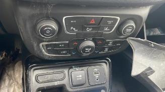 Jeep Compass  picture 11