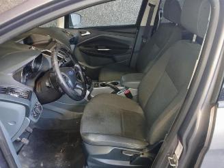 Ford Grand C-Max Grand C-Max (DXA), MPV, 2010 / 2019 1.0 Ti-VCT EcoBoost 12V 125 picture 17