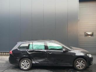 Volkswagen Golf Golf VII Variant (AUVV), Combi, 2013 / 2021 1.6 TDI 16V picture 7
